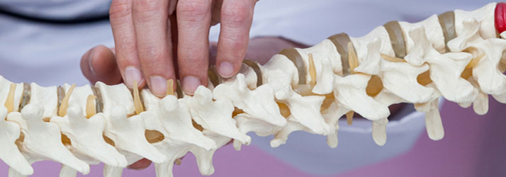 Chiropractie Geldermalsen GW Wervel Decompressie Chiropractie Geldermalsen GW Wervel Decompressie